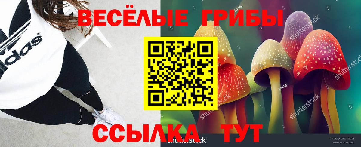 Галлюциногенные грибы мицелий Котельники